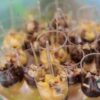 Brigadeiro na Tacinha